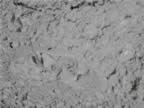 I-Mud Geyser (14).jpg (79kb)
